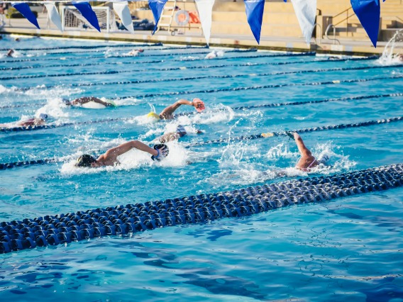 People Swimming in an Olympic Swimming Pool