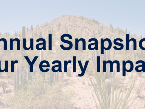 Desert scene with text overlay: Annual Snapshot: Our Yearly Impact