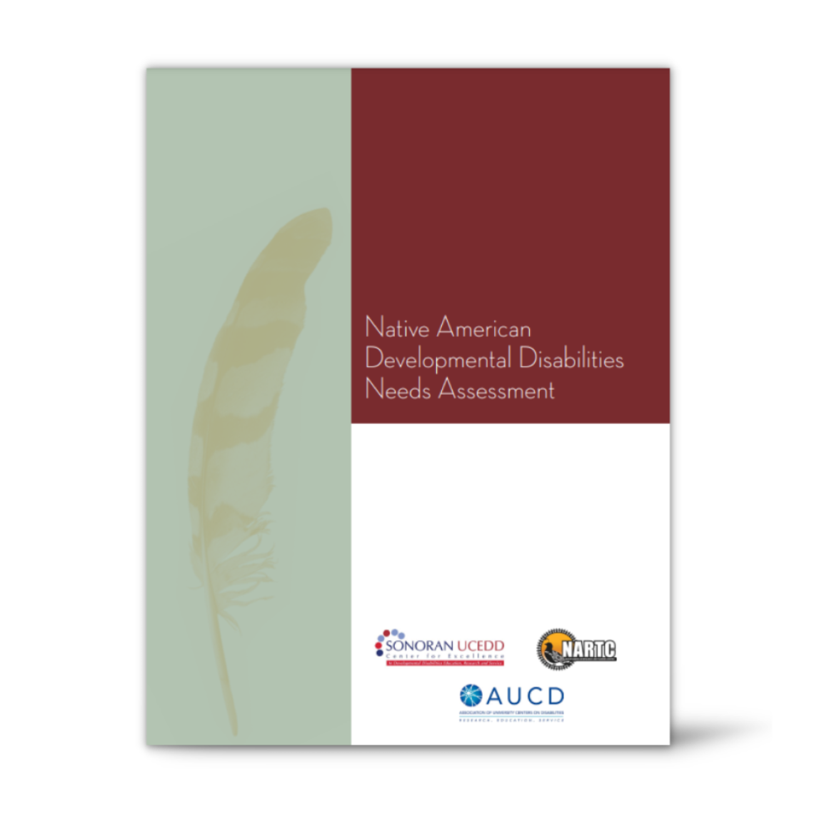 Cover of the Native American Needs assessment report